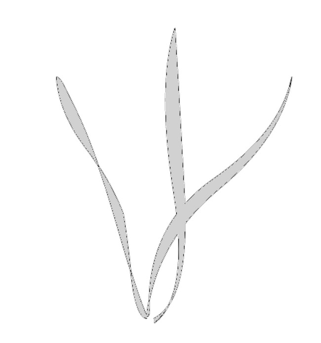 Designing With Plants